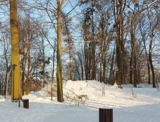 Park Rubina