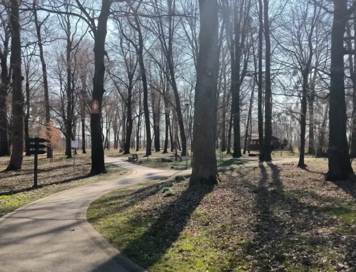 Pilchowice
