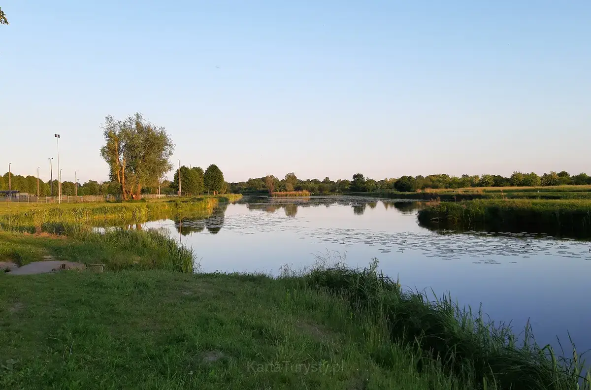 Plaża