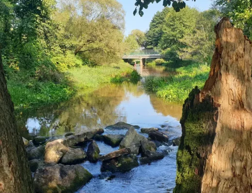 Plaża pod Bykiem