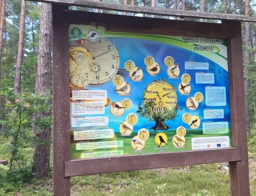 Początek ścieżki przyrodniczej Bachus