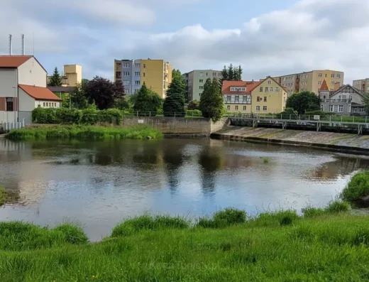 Przepławka dla ryb Braniewo