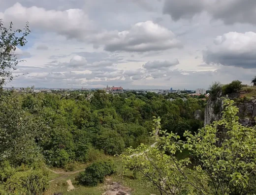 Punkt widokowy na Wawel (2)