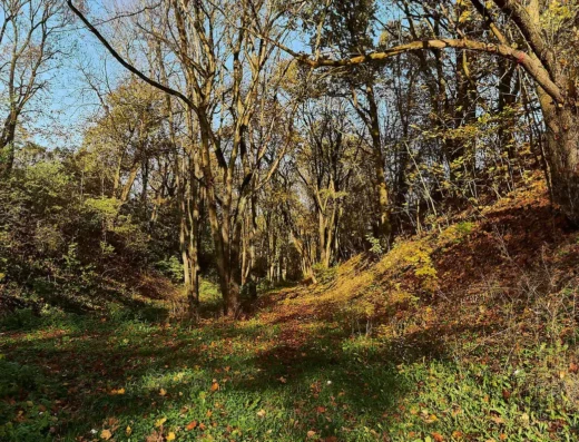 Puszcza Piska