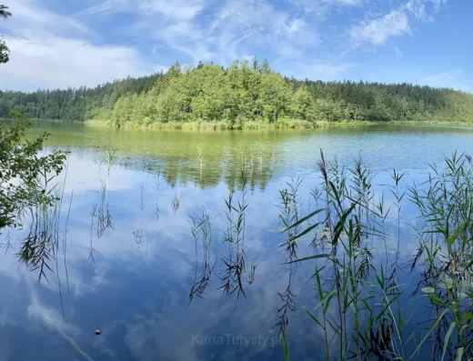 Rezerwat Łempis