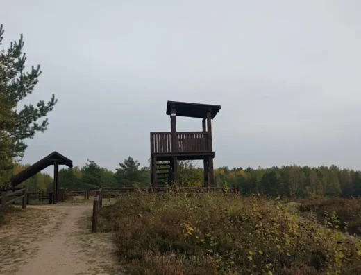 Rezerwat przyrody Diabelskie Pustacie