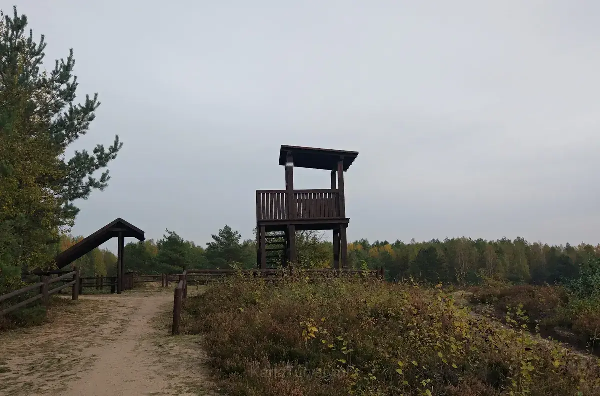 Rezerwat przyrody Diabelskie Pustacie