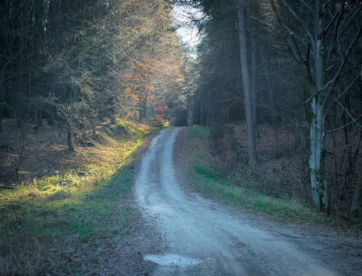 Rezerwat przyrody Głęboka Dolina