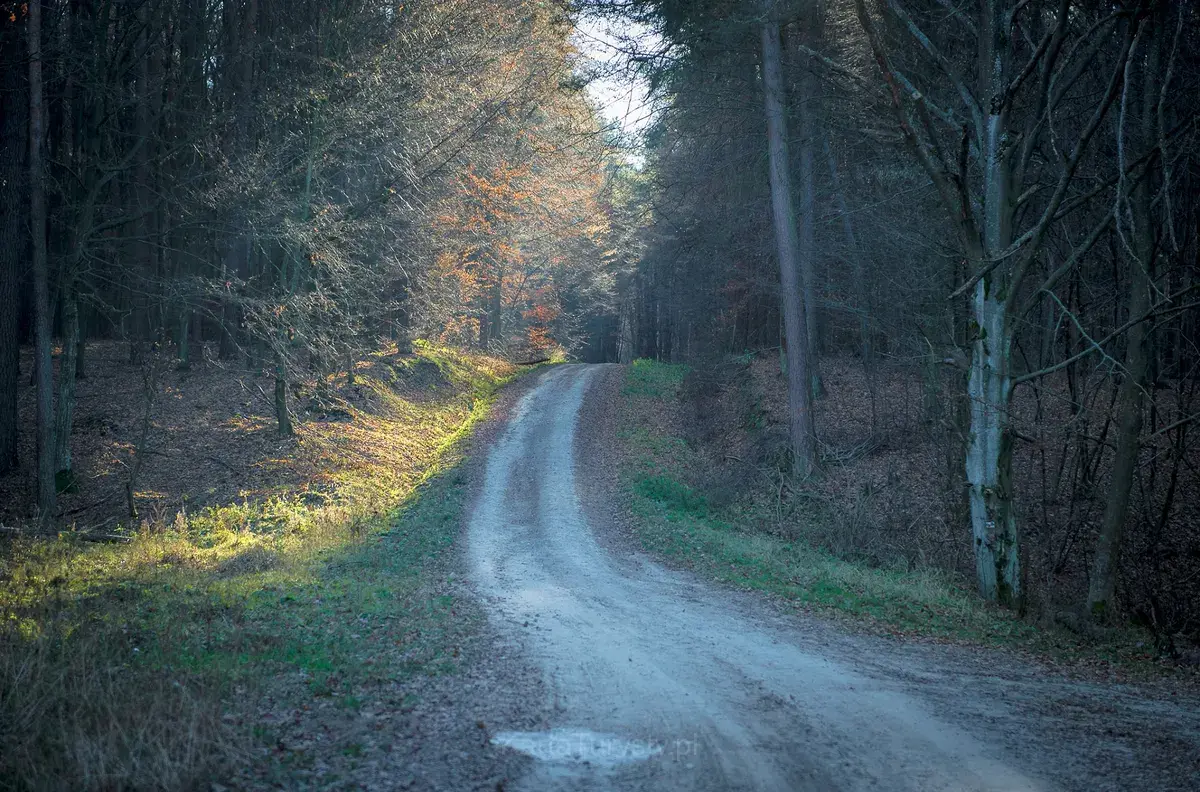 Rezerwat przyrody Głęboka Dolina