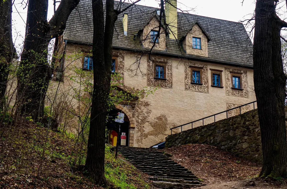 Rezerwat przyrody Góra Choina