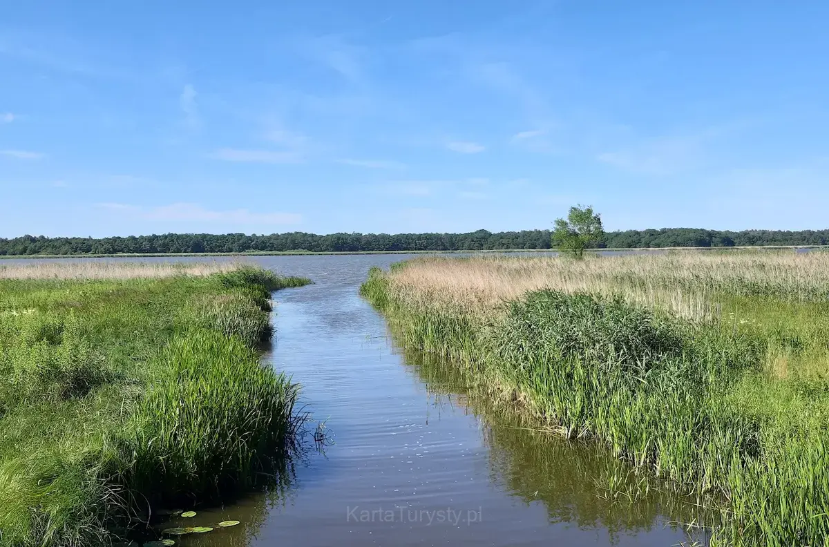 Rezerwat przyrody Jezioro Liwia Łuża