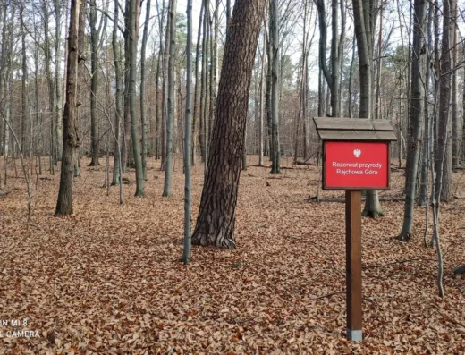 Rezerwat przyrody Rajchowa Góra