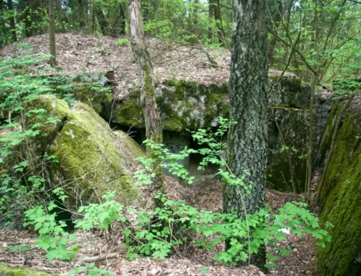 Ruiny Bunkra w Kruklankach