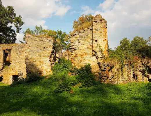 Ruiny Zamku Fałkowskich