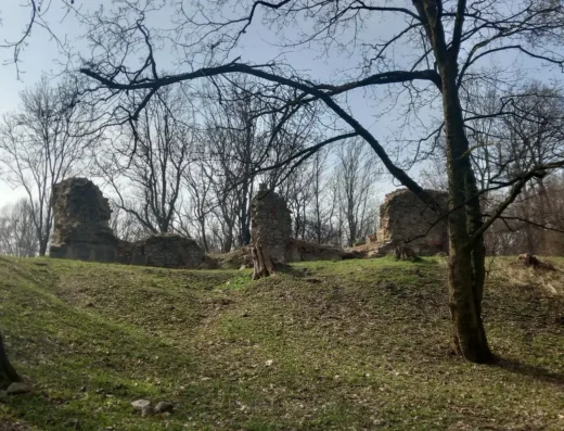 Ruiny Zamku Rudzkiego