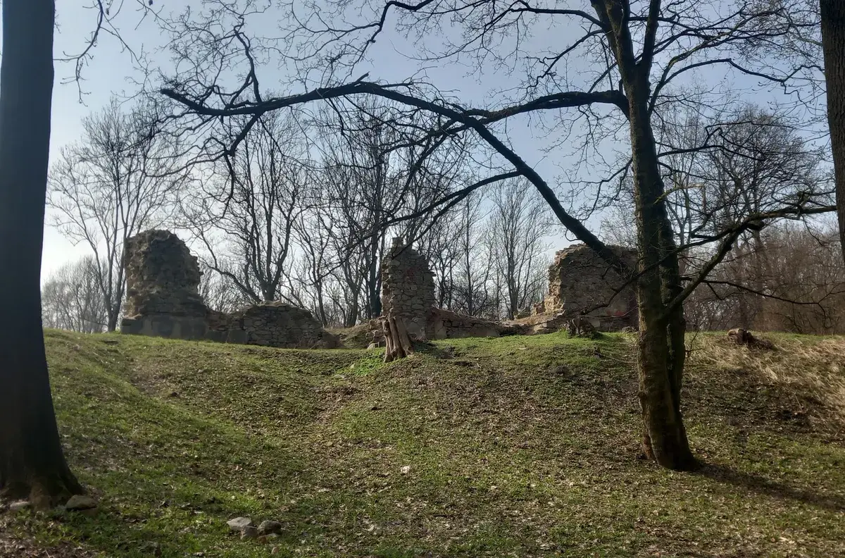 Ruiny Zamku Rudzkiego