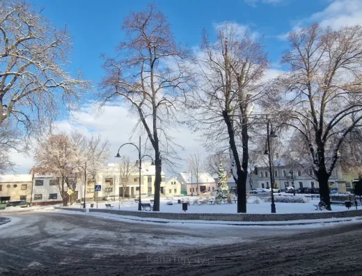 Rynek w Krzanowicach