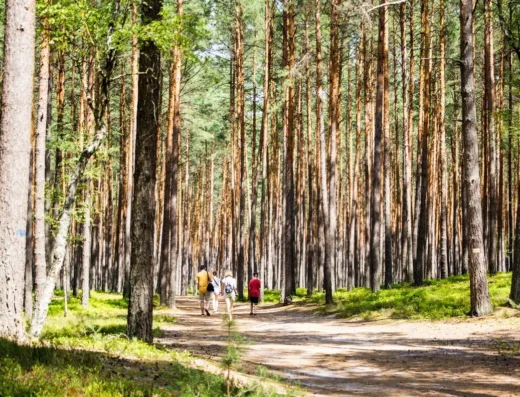 Ścieżka przyrodniczo-dydaktyczna „Nad Tanwią”