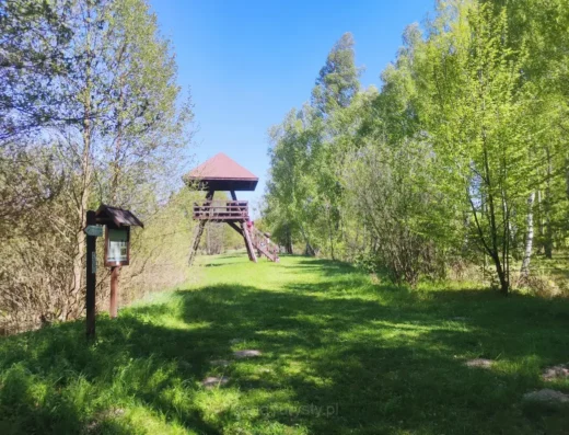 Ścieżka przyrodniczo-historyczna „Obóz Powstańczy” (2)