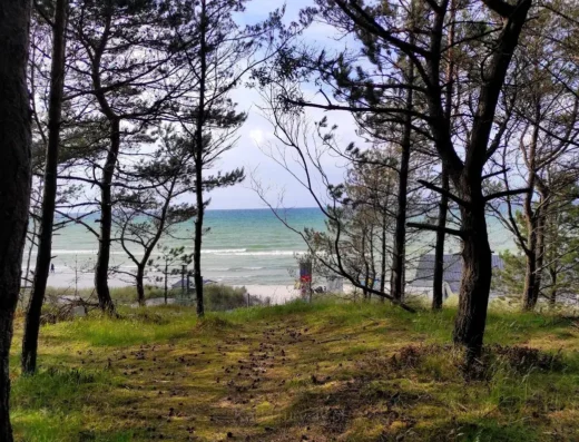 Seaside Forest in Karwia
