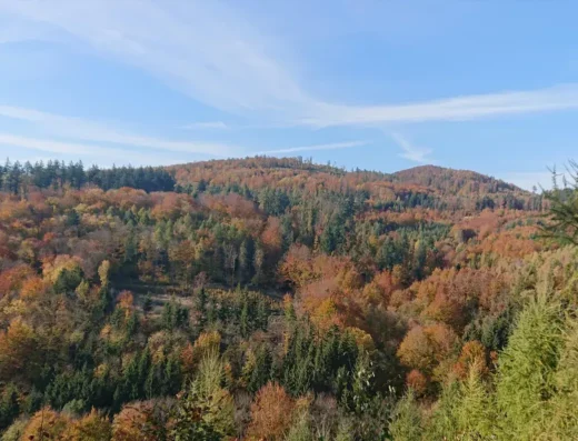 Singletrack Glacensis (Pętla startowa – Bardo)