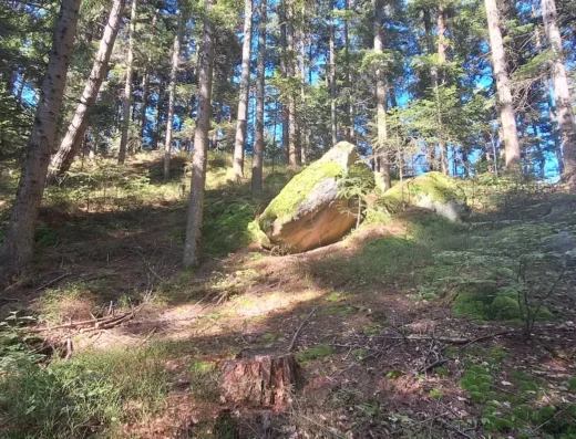 Skałki wspinaczkowe Sokoli Grzbiet