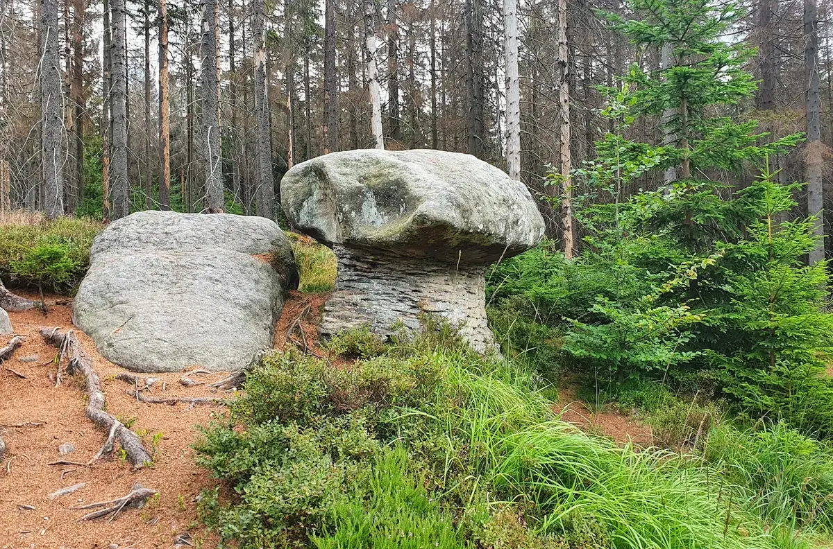 Skalna Czaszka