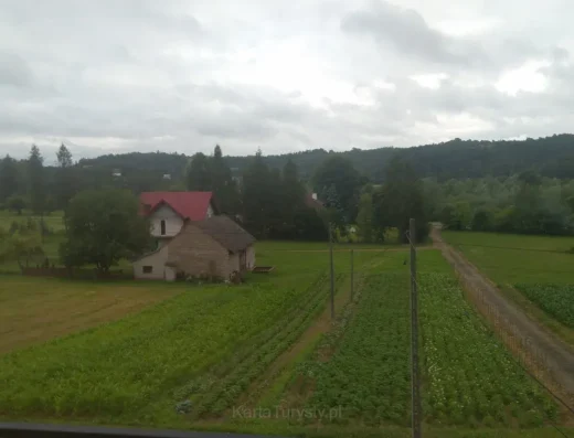 Sobolów