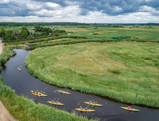 Spływy kajakowe rzekami Narewka, Narew