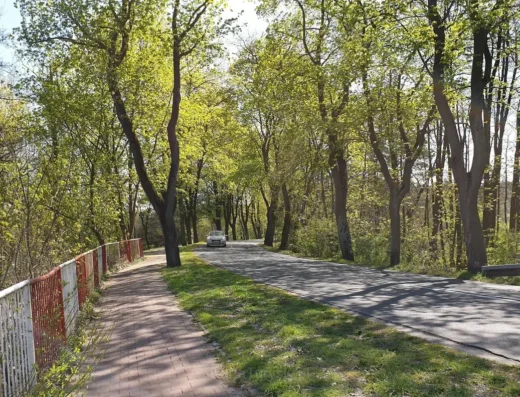Starorzecze koło ul. Poznańskiej