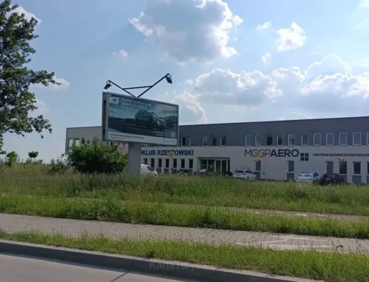 Stary Wisłok