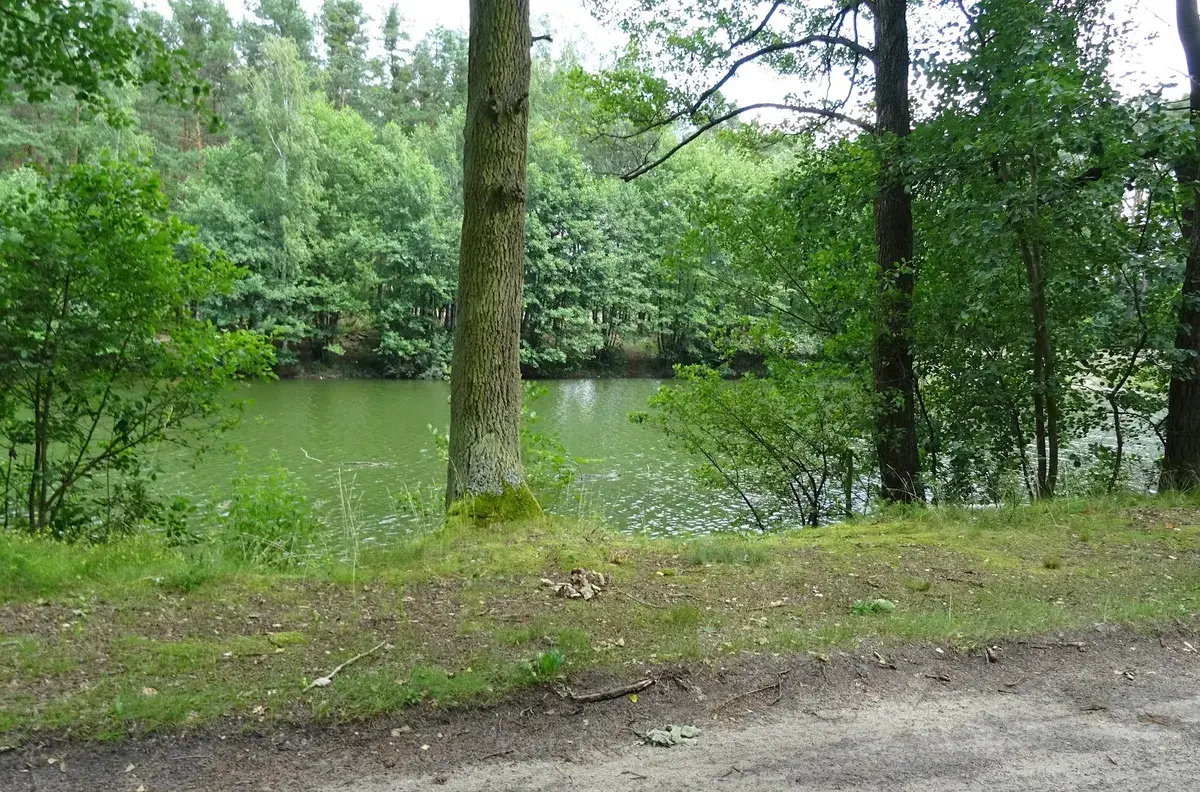 Staw Drugi Jelczański