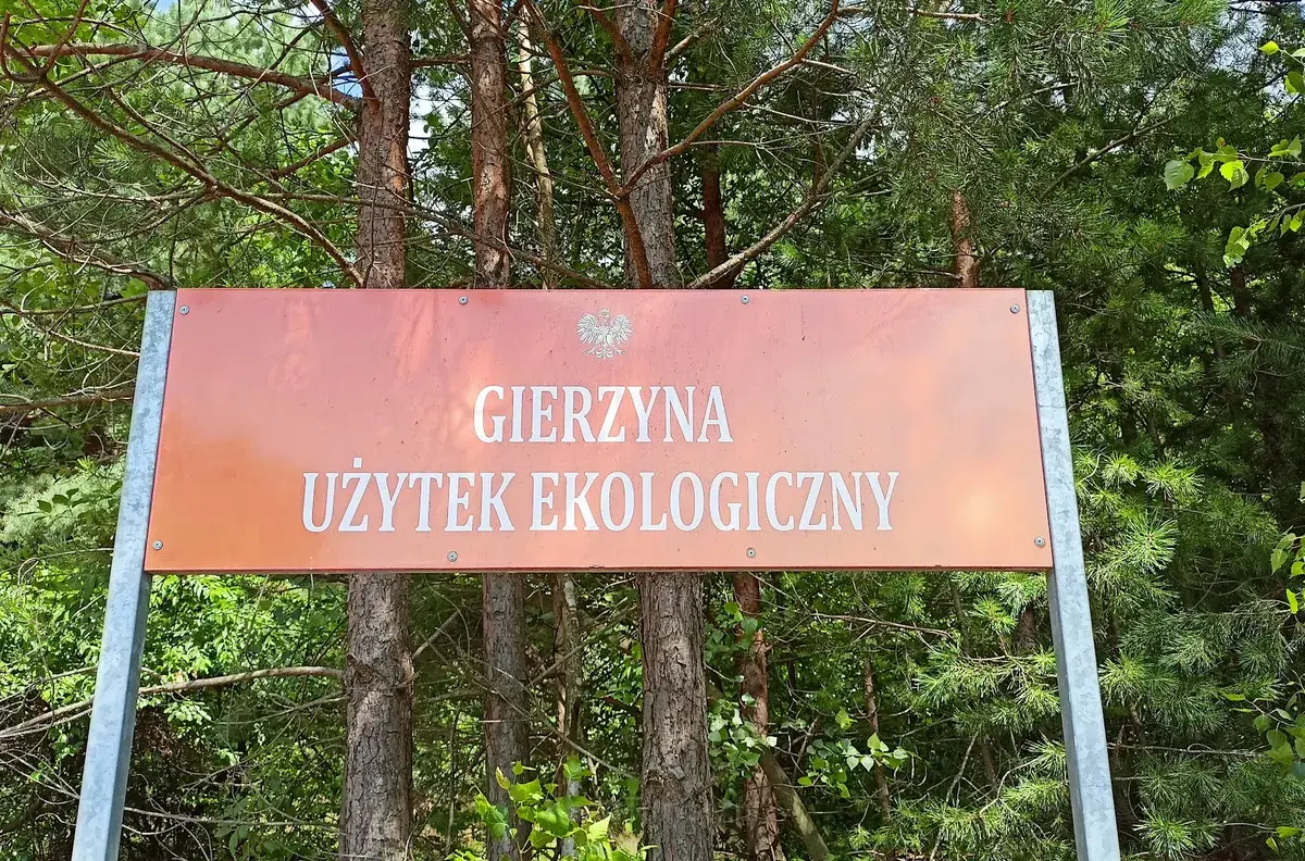 Staw Gierzyna