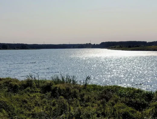 Stężyca