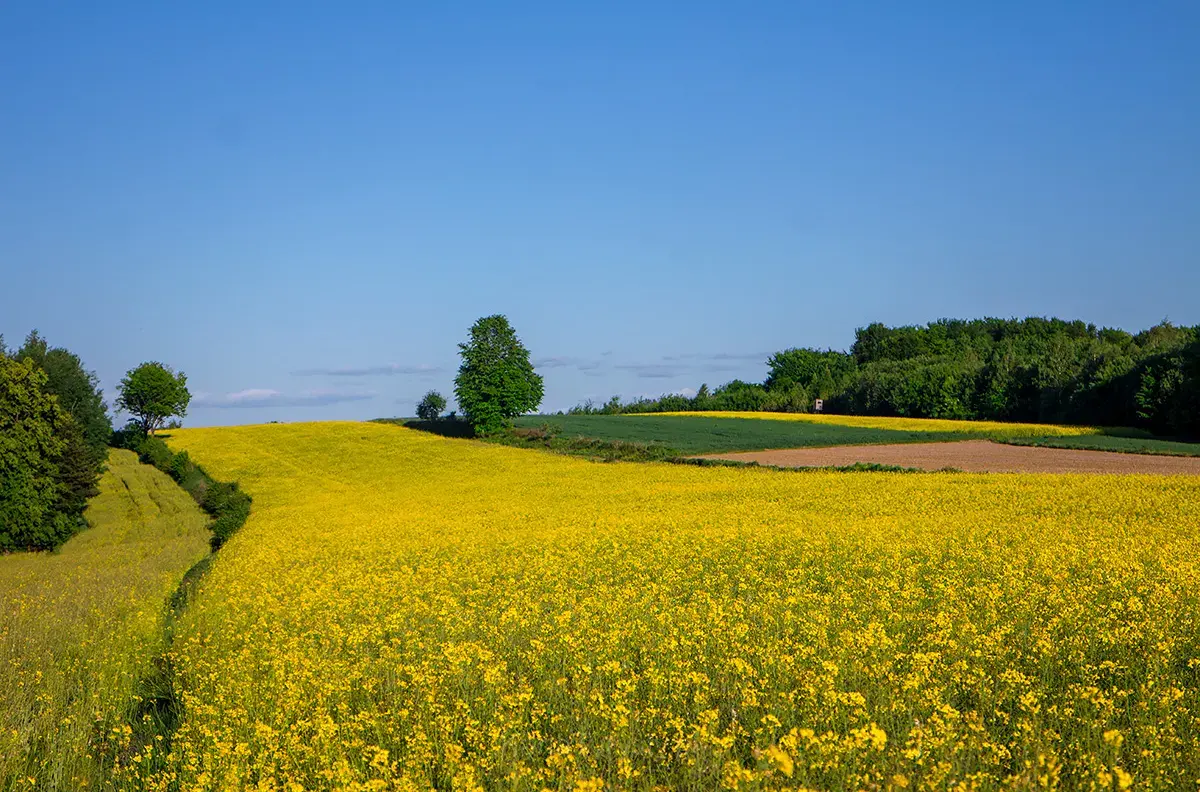 Szczebrzeszyn Landscape Park