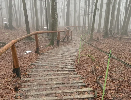 Szlak na Połoninę Caryńską (Punkt startowy – Ustrzyki Górne)