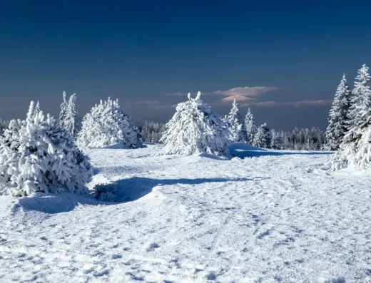 Szlak na Turbacz (Punkt startowy – Koninki)