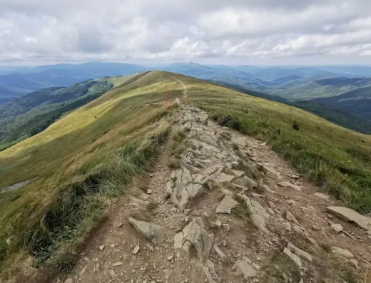 Tarnica (2)