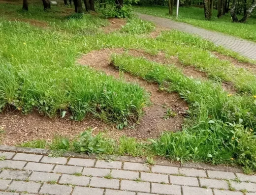 Tor dla modeli