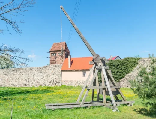 Trebusz