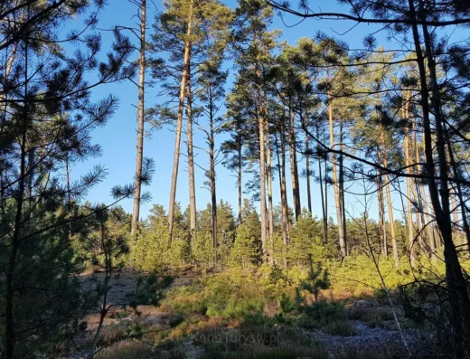 Tułowe Góry