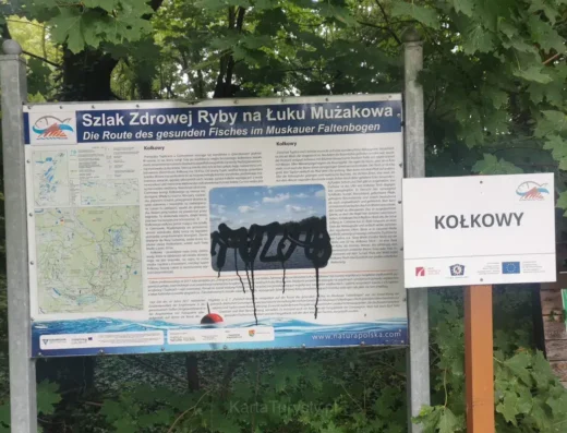 Tuplice