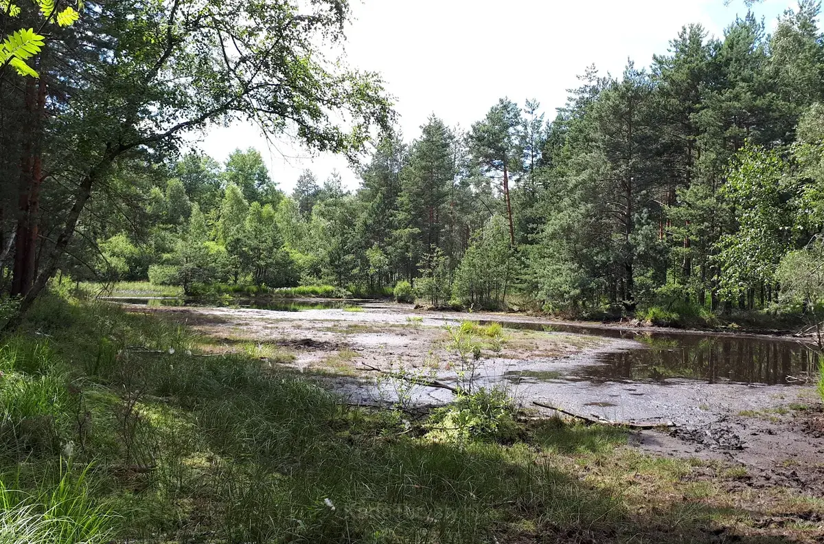 Upper Liswarta Forests Landscape Park