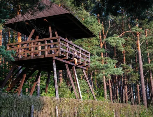 Urszulin
