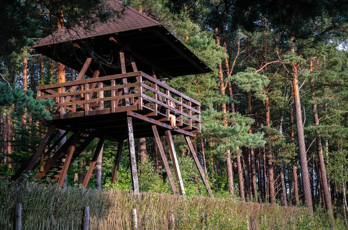 Urszulin