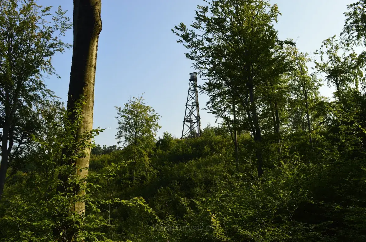 Warblewska Góra wys. 170 m.n.p.m