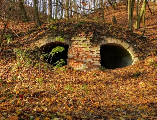 Wąwóz Szaniawskiego – Rezerwat Przyrody