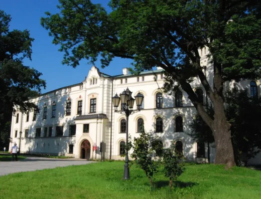 Wiadukty w Żywcu (Stary most kolejowy i potężne filary)