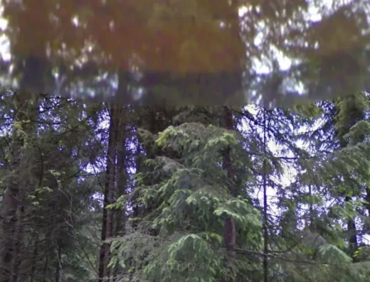 Wielka sucha dolina