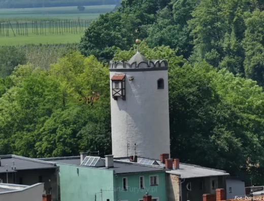Wieża bramna Ząbkowicka